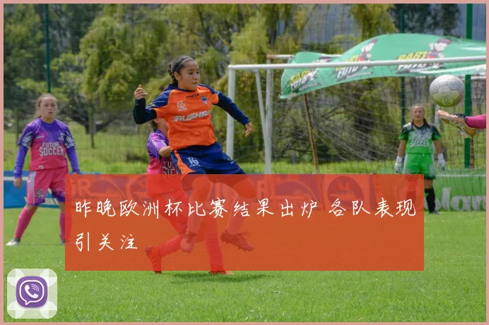 昨晚欧洲杯比赛结果出炉 各队表现引关注
