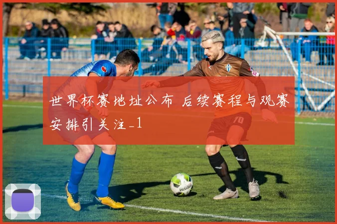 世界杯赛地址公布 后续赛程与观赛安排引关注_1