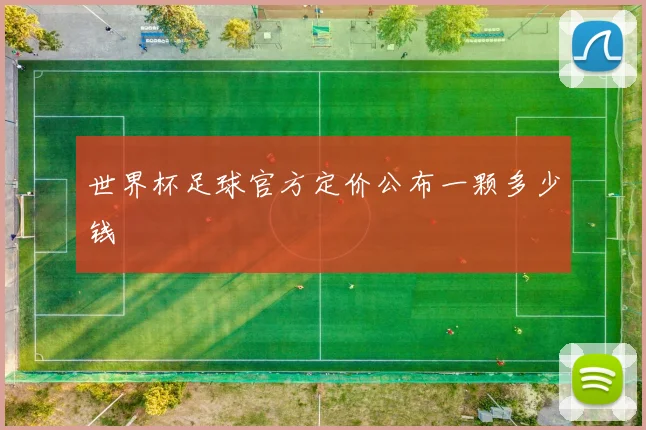 世界杯足球官方定价公布一颗多少钱