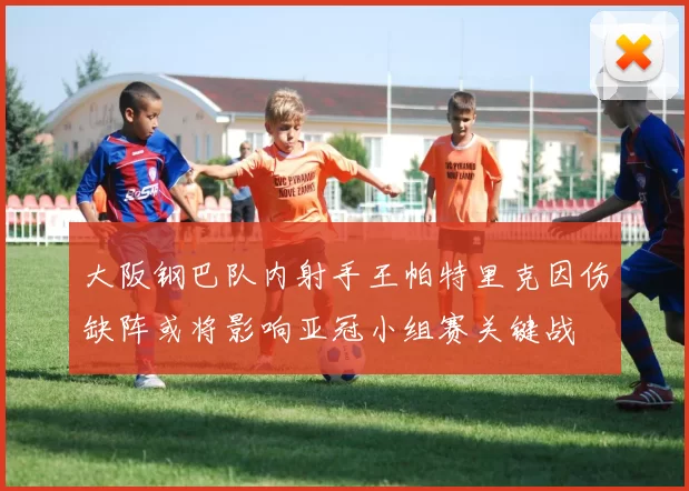 大阪钢巴队内射手王帕特里克因伤缺阵或将影响亚冠小组赛关键战