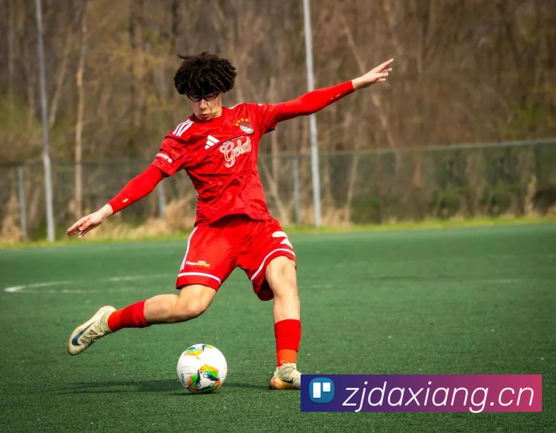 世界杯中国官网服务体系